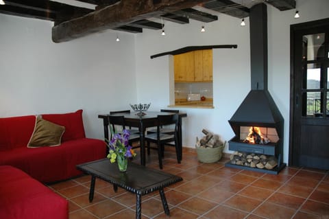 Living room, Dining area, fireplace, flat iron