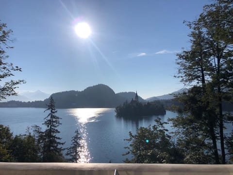 Sovica House in Bled