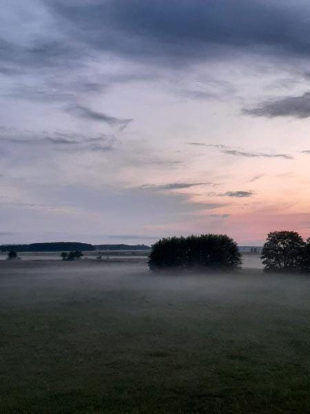 "Ferienwohnungen Wiesenblick" Apartment in Trassenheide
