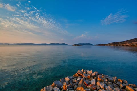 Neighbourhood, Natural landscape