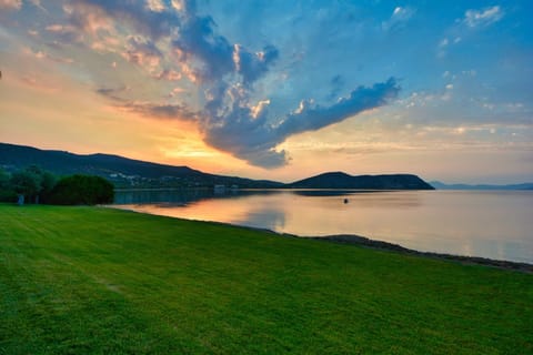 Patio, Natural landscape, Beach, Beach, Sunrise