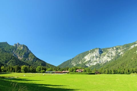 Ferienhaus Gestüt Pfaffenlehen House in Berchtesgadener Land
