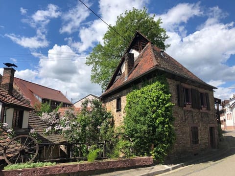 Facade/entrance, Spring