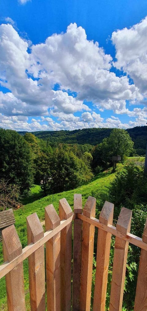 La Maison du Sabotier Apartment in Dinant