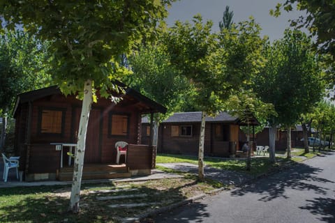 Garden, Street view