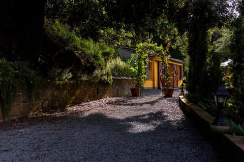 Facade/entrance, Garden