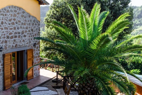 Patio, Facade/entrance, Balcony/Terrace