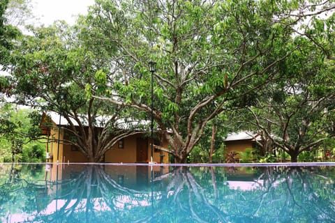 Garden, Garden view, Swimming pool