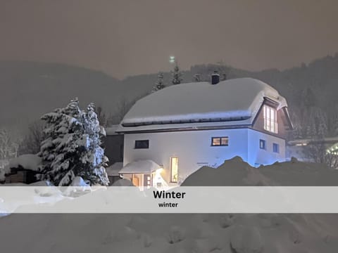Night, Winter