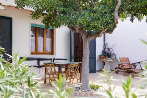 Facade/entrance, Garden