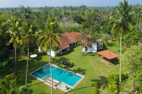Bird's eye view, Garden, Garden, Swimming pool, Swimming pool