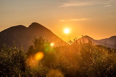 Hawaii Accommodation Pelekas Bed and Breakfast in Corfu, Greece