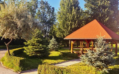 Day, Garden, Garden view