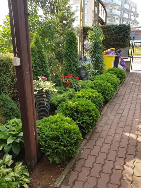 Spring, Garden, Garden view