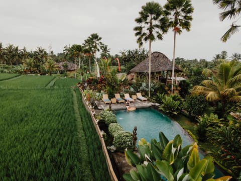 Spring, Day, Natural landscape, Garden, Garden view, Pool view, Swimming pool, Swimming pool, sunbed
