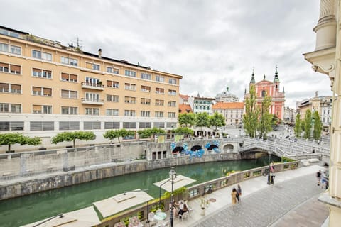 City view, River view, Location