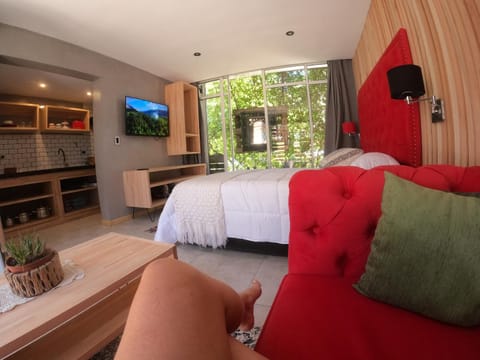 Photo of the whole room