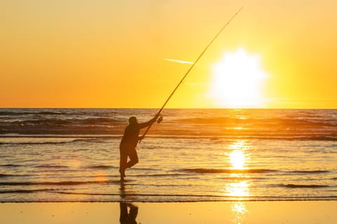 Beach, Sea view, Sunset
