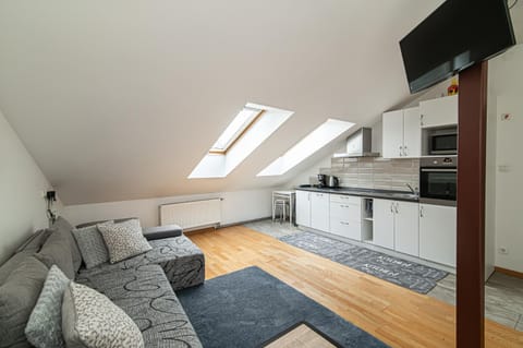 TV and multimedia, Kitchen or kitchenette, Living room, Seating area, stove