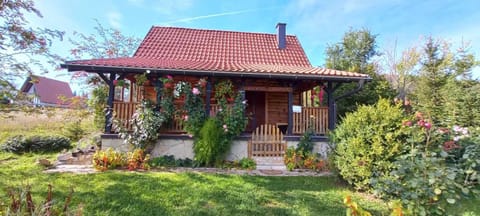 Brvnara za odmor Tara House in Zlatibor District, Serbia