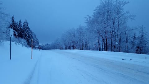 Gite Eden House in Vosges