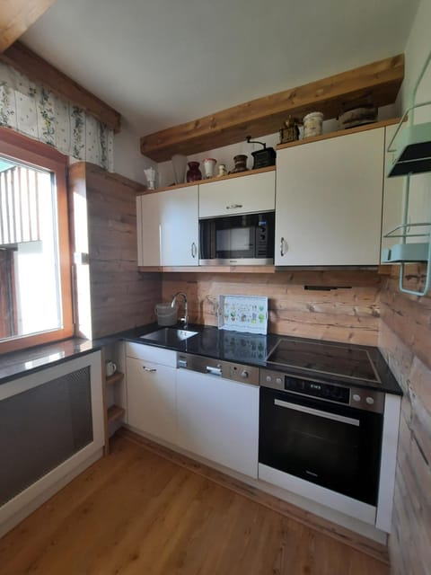 Kitchen or kitchenette, dishwasher, stove