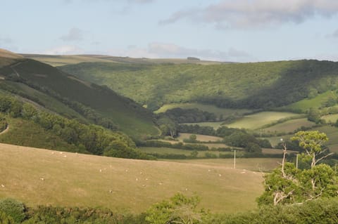 Coombe Farm Bed and Breakfast in West Somerset District