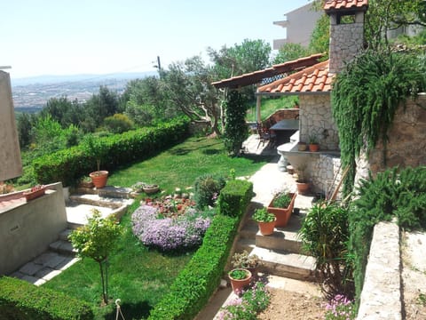 Spring, Garden