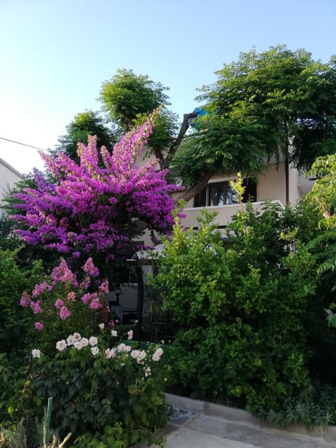 Facade/entrance, Day, Garden, Garden view
