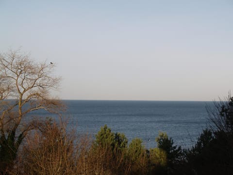 Wechta with Sea View & Free Sauna Apartment in Miedzyzdroje