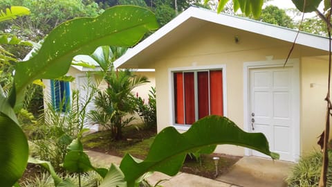 Property building, Facade/entrance, Garden view