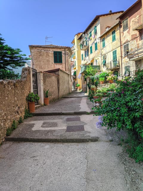 Neighbourhood, Street view