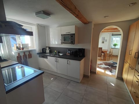 Haus Schatzl Apartments mit Gartenanteil und Bademöglichkeit im Fluss Apartment in Bad Aussee