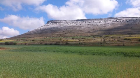 Nearby landmark