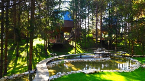 Garden, Balcony/Terrace