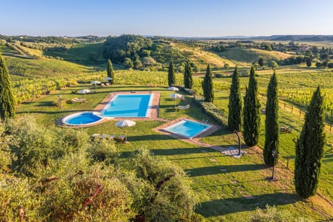 Natural landscape, Pool view, Swimming pool, sunbed