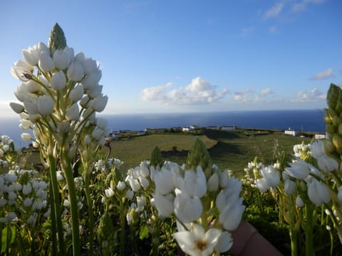 Natural landscape, Bird's eye view, Landmark view