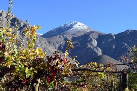 Natural landscape