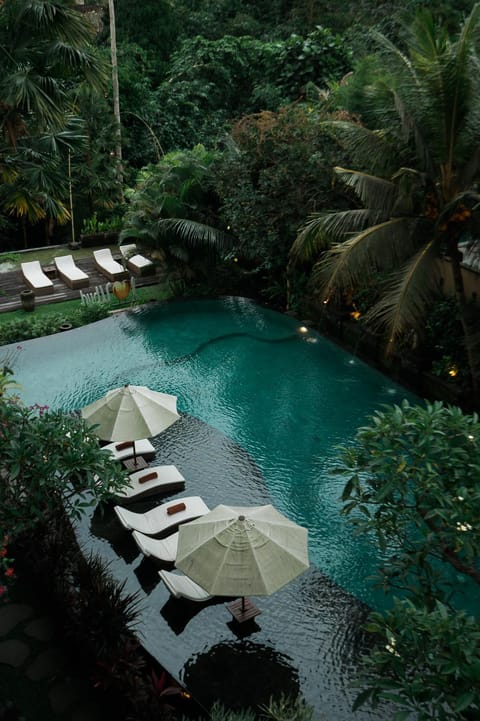 Bird's eye view, Pool view, Swimming pool