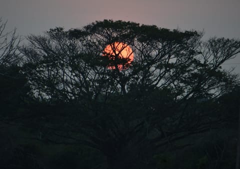 Natural landscape, Landmark view, Sunset
