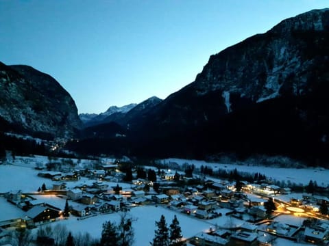 Alpine Appartement Apartment in Tyrol