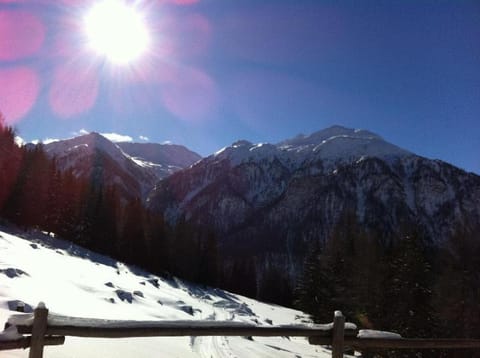 Almhuette-Gipper House in Carinthia, Austria