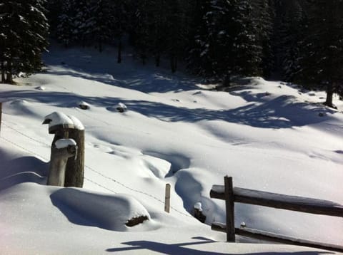 Almhuette-Gipper House in Carinthia, Austria