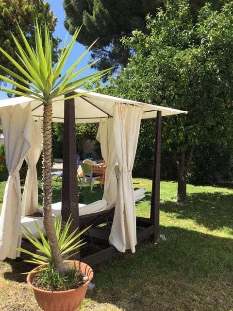 Property building, Garden view