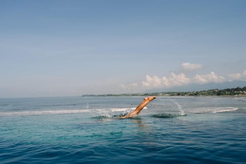 Natural landscape, Activities, Beach, Pool view, Sea view, Swimming pool