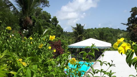 Les Hauts de Terrasson Bed and Breakfast in Le Gosier