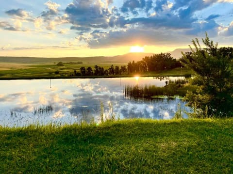 Natural landscape