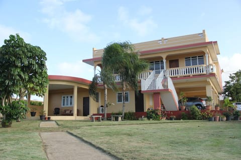 Facade/entrance, Garden