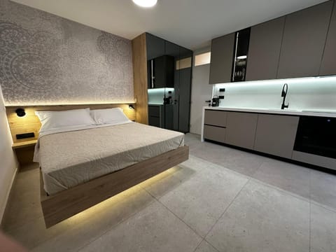 Bed, Kitchen or kitchenette, Photo of the whole room, Bedroom, oven, stove, wardrobe