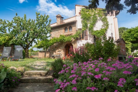 Property building, Garden view